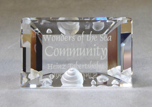 SWAROVSKI SCS 2007 "WONDERS OF THE SEA" COMMUNITY TITLE PLAQUE